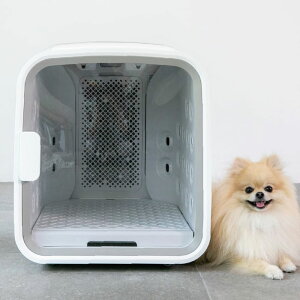 ybgp hC[ {bNX nello ybghC[ GAV[ 13 ԕ┲т𕥂Ƃ Y  L ƒp hC[ nEX hC[[ p Lp  nYt