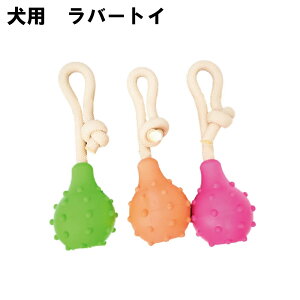   [v {[ 3F ł v   }bT[W y ^ ^ ^ q