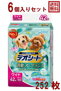 fIV[g ӂ荁LtOX O[A}̍ Ch 42×6Zbgi1P[Xj 4520699686386@ybgV[c