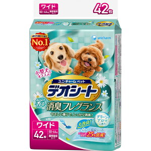 fIV[g ӂ荁LtOX O[A}̍ Ch 42 4520699686386@ybgV[c