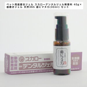 ybgpWF XJ[f^WF 40g×WF VR365 Ƀ}kJ(30ml) LpZbg C Ώ