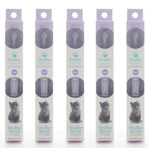 I[oCIuV Lp 5{ZbgiȉqmjC Ώ f^PA