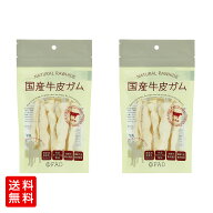 国産牛皮フラットロール8本×2個 犬向けおやつ(デンタルケアガム) 【ダッドウェイ】 犬 おやつ ガム 国産…