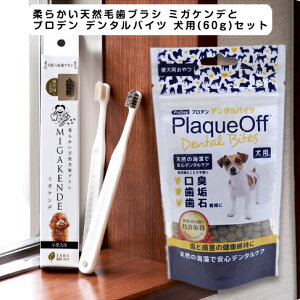 _炩VRюuV ~KPf× vf f^oCc p(60g)Zbg @C@Η\h