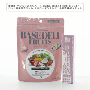 Y ybgt[h p Â育͂x[X BASE DELI FRUITS 70g×ybgpWF XJ[f^WF 40g x[Xft[c hbOt[h zCgtHbNX WhiteFox 