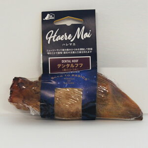 Haere Mai f^ttîЂÂ߁j1{ pf^`[  Η\h  K n}G