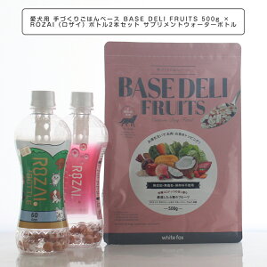 ybgt[h p Â育͂x[X BASE DELI FRUITS 500g × ROZAIiUCj{g2{ ybgp TvgEH[^[{g 100 YVRf ]y ~l ybǧNƔeP