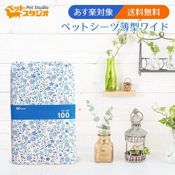 ペットシーツレギュラー薄型800枚犬、猫問わず使えて経済的!多頭飼いにもオススメ♪【薄型極薄トイレシートトイレシーツおしっこシートおしっこシーツオシッコシート】楽天最安値に挑戦!【あす楽】【送料無料】