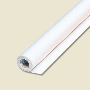 HEIKO t[bv  #1 sDz[ bsOy[p[ 65cmx20m  VyԎ ԍ bsO { bsOpi bsOy[p[ijVW}z