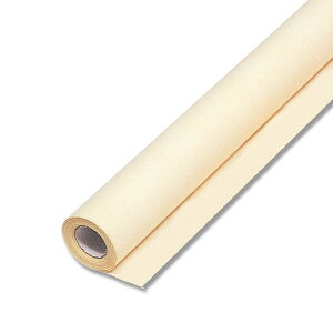 HEIKO t[bv N[ #3 sDz[ bsOy[p[ 65cmx20m yԎ ԍ bsO { bsOpi bsOy[p[ijVW}z