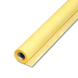 HEIKO t[bv CG[ #10 sDz[ bsOy[p[ 65cmx20m yԎ ԍ bsO { bsOpi bsOy[p[ijVW}z