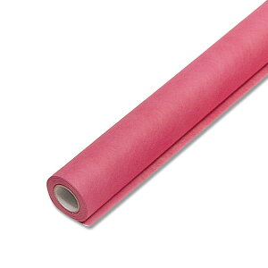 HEIKO t[bv E #19 sDz[ bsOy[p[ 65cmx20m yԎ ԍ bsO { bsOpi bsOy[p[ijVW}z