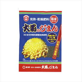 【東商】大菊のじまん(220g)/1個 【M】