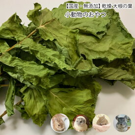 楽天市場 うさぎ 乾燥野菜の通販
