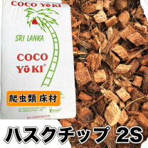 楽天市場】ヤシガラ チップの通販
