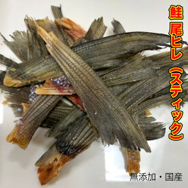 犬 猫 おやつ 【無添加】 国産 鮭尾ヒレ【スティック】 50g 鮭 尾ひれ ペット サーモン おやつ【DBP】
