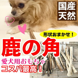 メール便 送料無料【形状おまかせ】国産 天然 鹿の角 犬(丹波鹿) 1本 サイズ：S (約10cm〜15cm) 犬 鹿角【DBP】