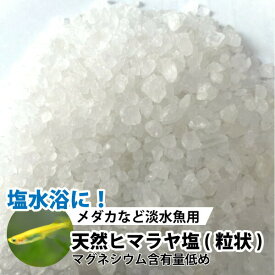 メダカ　金魚　淡水魚用　 天然ヒマラヤ塩(粒状 3-5mm)　【1kg】※計量スプーン付　 ヒマラヤソルト　塩水浴 めだか 金魚　淡水魚　 観賞魚【DBP】