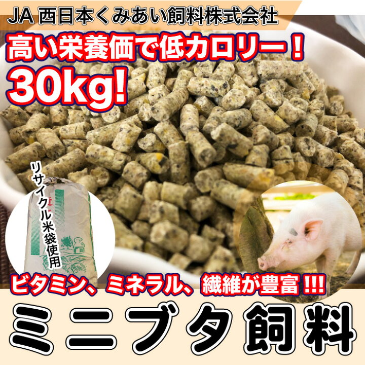 楽天市場】ミニブタ飼料 30kg 【再利用米袋使用】 ミニブタ ペレット マイクロブタ ビタミン ミネラル 繊維が豊富 フード 飼料 ペレット 送料無料 【DBP】 : PetShopスイート 楽天市場】ミニブタ飼料 30kg 【再利用米袋使用】 ミニブタ ペレット マイクロブタ ビタミン ミネラル 繊維が豊富 フード 飼料 ペレット 送料無料 【DBP】 : PetShopスイート