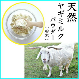 ペット用 やぎみるく パウダー(粉末) 100g ヤギミルク 山羊 ペット 愛犬・愛猫 栄養 サプリ 離乳 メール便送料無料【PIJ】