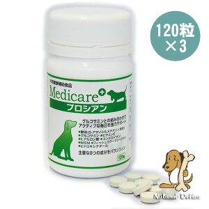 ֐߃T|[ǧŁIfBPA/vVA 120×3Zbg[]