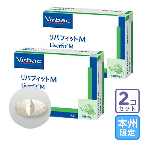 ͂{BEl/2ZbguotBbgM 30vs/OrOy2296z