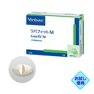 iuotBbgM 30vs/OrOy2299z