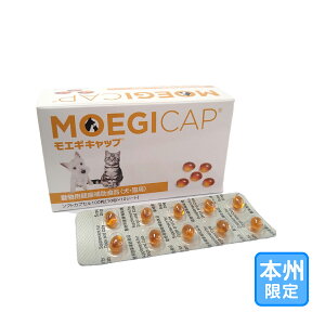 ͂{BuGMLbv \tgJvZ100vEs/OrOy2255z