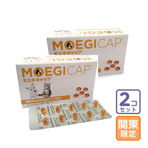 ͂֓/2ZbguGMLbv \tgJvZ100vs/Ory2249z