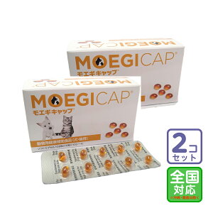 ͂SΉ/2ZbguGMLbv \tgJvZ100vEs/OrOy2251z