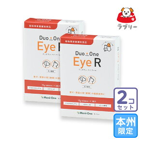 ���͂���{�B�E�l������/2�Z�b�g�uDuo One Eye R �f���I���� �A�C �A�[�� ���L�p�v�y1811�z