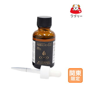 Vi/͂֓u Lp Z_vXvEs/OrOy2499z