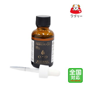 Vi/͂SΉuLp Z_ vXvEs/OrOy2502z