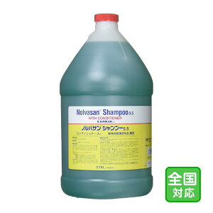 ֑͂SΉumoTVv[0.5 1K (3.78L)vy1876z