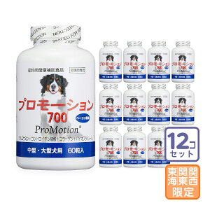 ͂֓E֐EC/12Zbguv[V700 E^p 60vy2034z