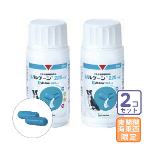 ͂֓E֐EC/2ZbguWP[ 225mgvy1680z