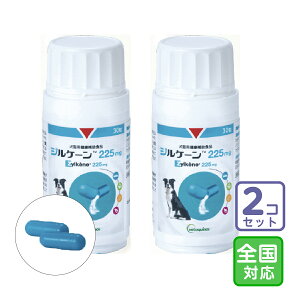 ͂SΉ/2ZbguWP[ 225mgvy1679z