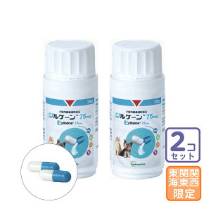 ͂֓E֐EC/2ZbguWP[ 75mgvy1685z