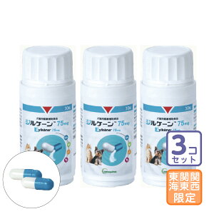 ͂֓E֐EC/3ZbguWP[ 75mgvy1687z