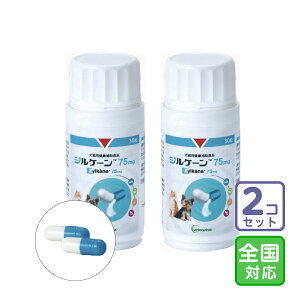 ͂SΉ/2ZbguWP[ 75mgvy1686z