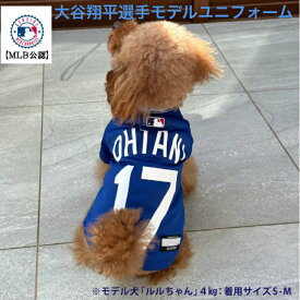 【予約商品】MLB公式 ロサンゼルス ドジャース 大谷翔平選手モデル ユニフォーム 野球 ジャージ ブルー XLサイズ