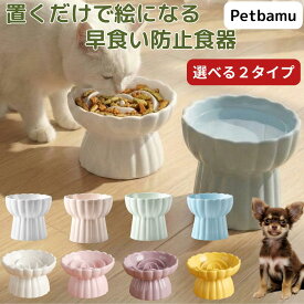 早食い防止 食器 猫 犬 皿 フードボウル 餌皿 水飲み 水入れ ペット 早食い防止フードボウル 小型犬 皿 お皿 陶器 犬用 猫用 ペット用 小型犬用 超小型犬 ボウル 早食い防止ボウル ねこ スローフィーダー 早食い防止食器 エサ入れ 餌入れ 高さ
