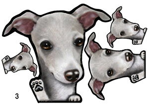 �C�^�O�� �O�b�Y �G�� �C�^���A���O���[�n�E���h �O�b�Y �G�� �� �X�e�b�J�[ �C�^�O�� 3 �C�^���A���O���[�n�E���h �C�^���A���E�O���[�n�E���h �l�[������s�� �V�[�� �C�^�O�� �G�� �O�b