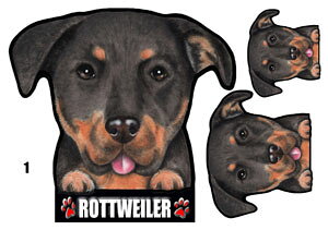  XebJ[  킢    I[_[ Ch STCY  X[cP[X   bgC[ G ObY  XebJ[ bgC[ 1 }Olbg 