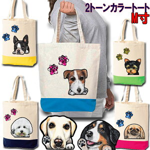  UobO MTCY  ObY G UobO EFXeB r[O VFeB yLj[Y [L[ ps WbNbZeA {[_[R[ rVt[[ uh