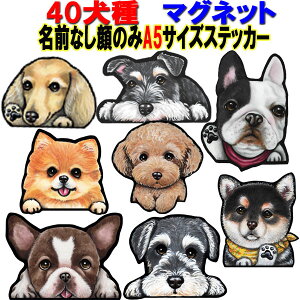 A5 犬 ステッカー マグネット 多頭犬 ステッカー 犬 ステッカー グッズ 雑貨 チワワ トイプードル フレンチブルドッグ 柴犬 ダックスフンド コーギー ポメラニアン パグ シーズー シュナウザ