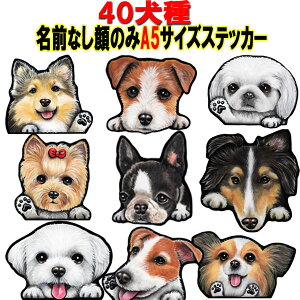 1000~|bL A5  XebJ[  V[ XebJ[ ObY G LoA }`[Y ps ~j`AViEU[ WbNbZeA |jA yLj[Y [L[ 