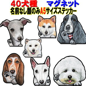 A5  XebJ[ }Olbg  XebJ[  XebJ[ ObY G S[fgo[ rVt[[  _VA Hc C^O L VFp[h VFbhhV[v 