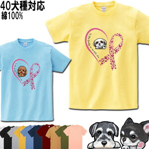  tVc fB[X     Y ObY G  Hc oZbgnEh _VA VFbhhV[v b㌢ ueA C^AO[nEh C^O 