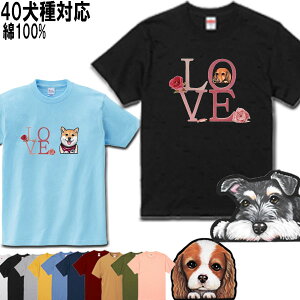  tVc fB[X     Y ObY G  Hc oZbgnEh _VA VFbhhV[v b㌢ ueA C^AO[nEh C^O 